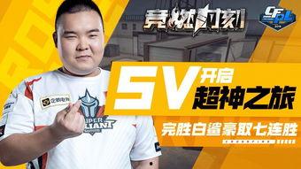 白鲨最新爆料新闻网视频,揭秘新闻网背后惊人内幕